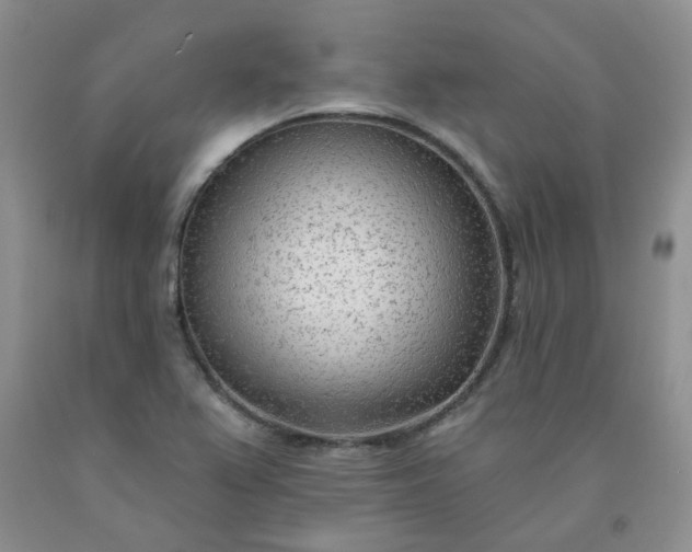 X0000091971367200709201356