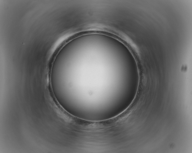 X0000091971368200709201356