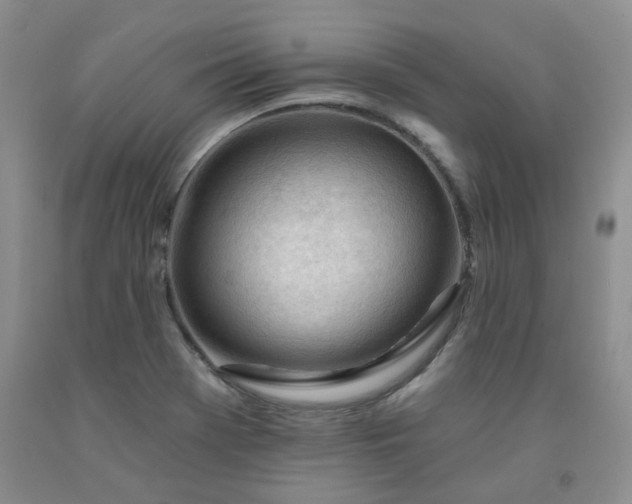 X0000091971369200709201356