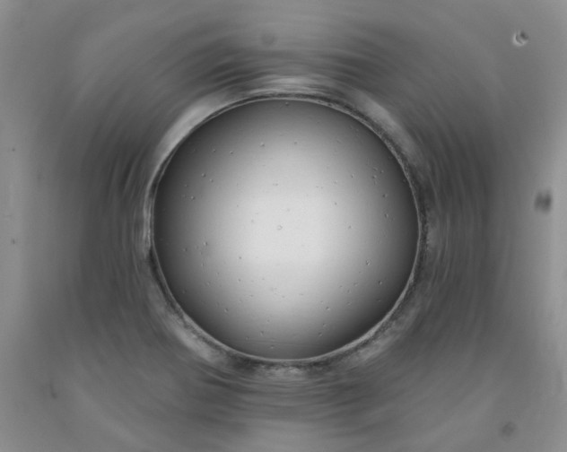 X0000091971370200709201356