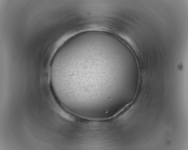 X0000091971371200709201356