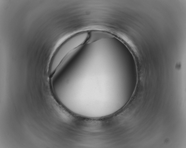 X0000091971372200709201356