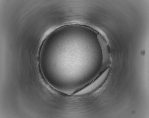 X0000091971373200709201356
