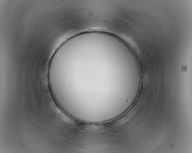 X0000091971374200709201356