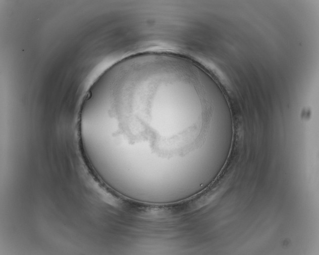 X0000091971375200709201356