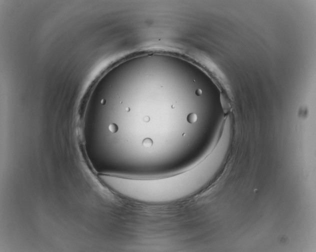 X0000091971376200709201356