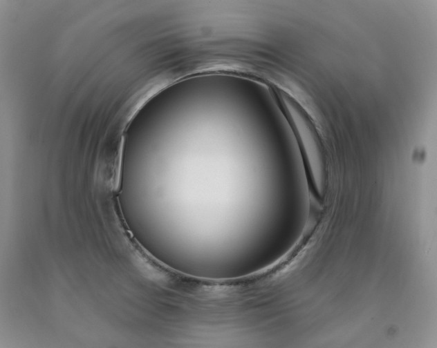 X0000091971377200709201356