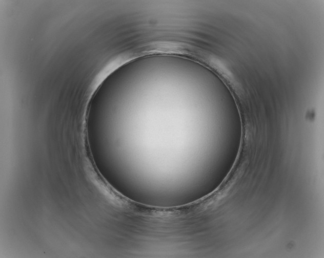 X0000091971378200709201356