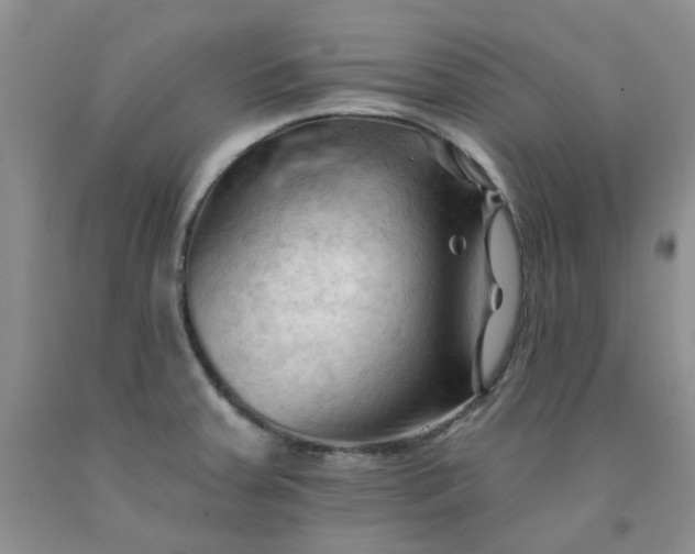 X0000091971379200709201356