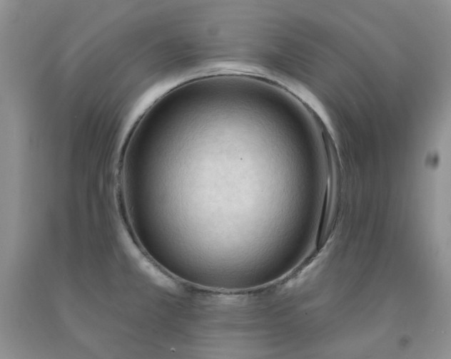 X0000091971381200709201356