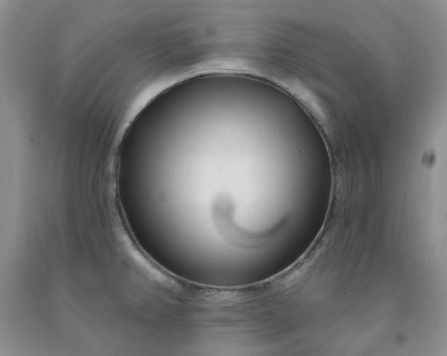X0000091971382200709201356