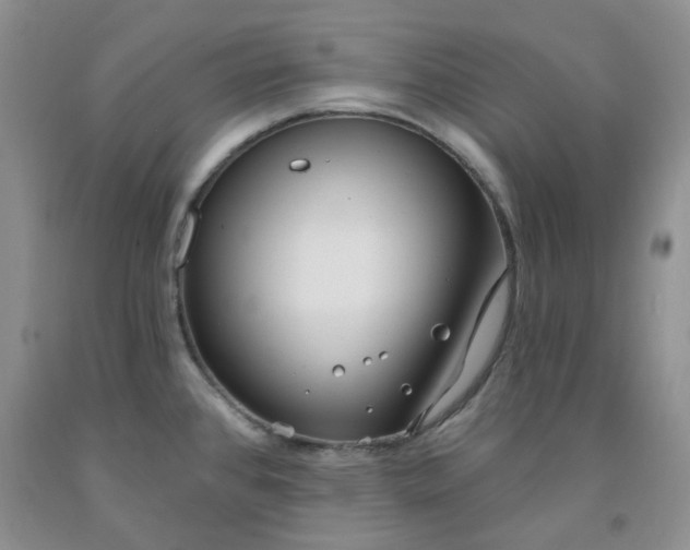 X0000091971384200709201356