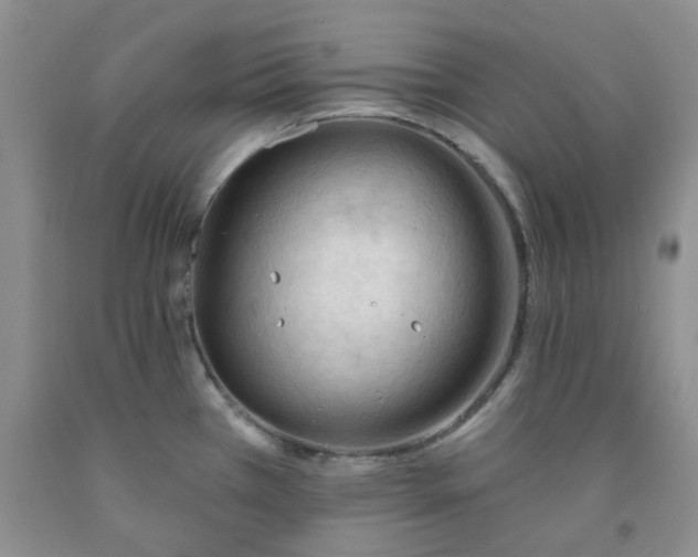 X0000091971385200709201356