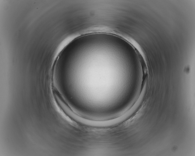 X0000091971389200709201356