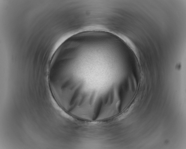 X0000091971390200709201356