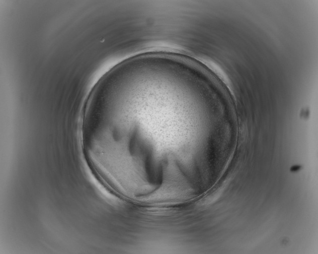 X0000091971391200709201356