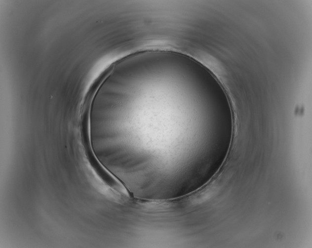 X0000091971392200709201356