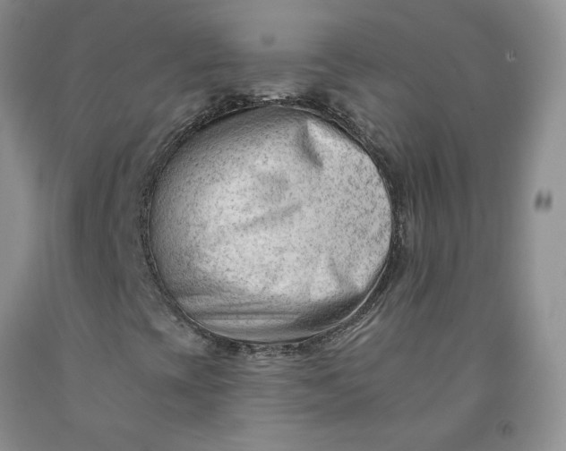 X0000091971393200709201355