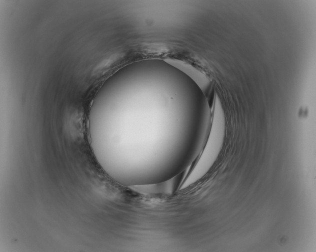X0000091971394200709201355