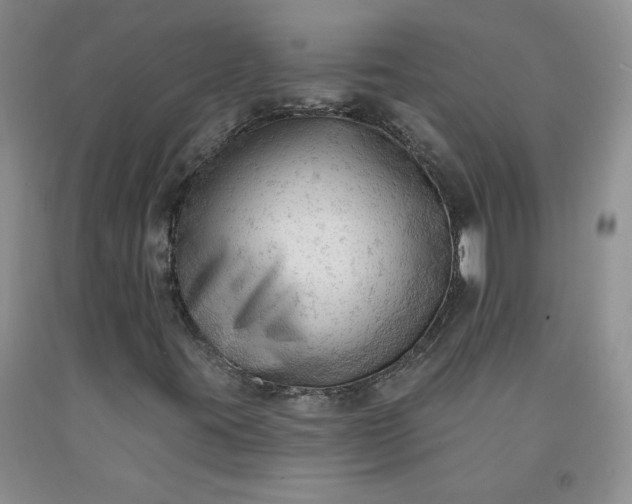 X0000091971395200709201355
