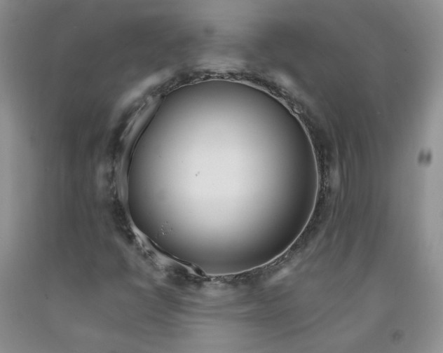 X0000091971398200709201355
