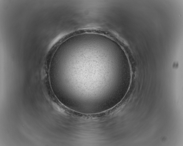 X0000091971400200709201355