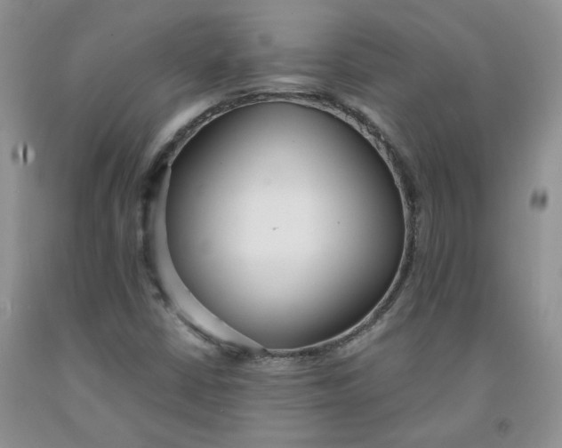 X0000091971402200709201355