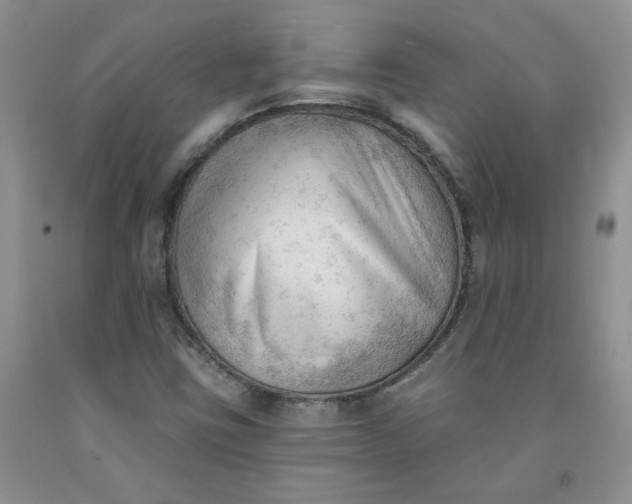 X0000091971403200709201355