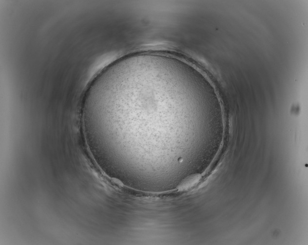 X0000091971405200709201355