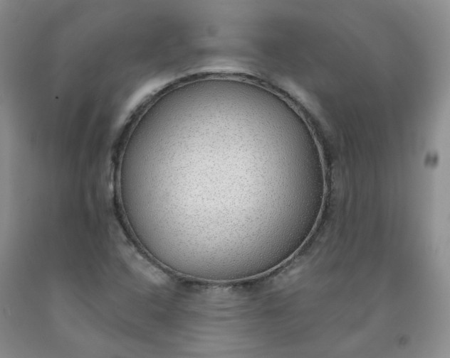 X0000091971408200709201355