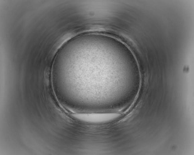 X0000091971409200709201355