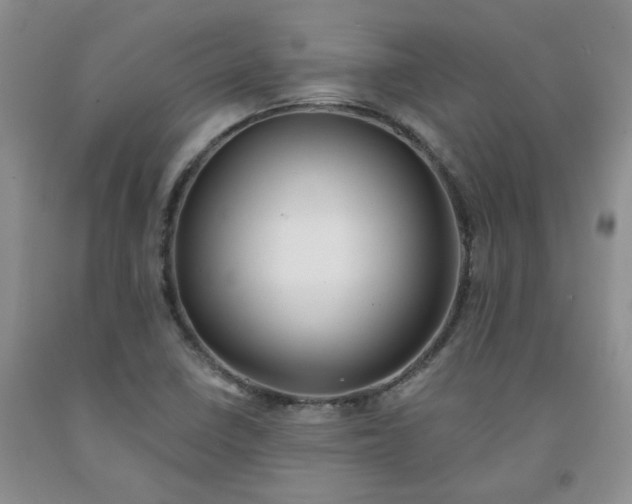 X0000091971410200709201355