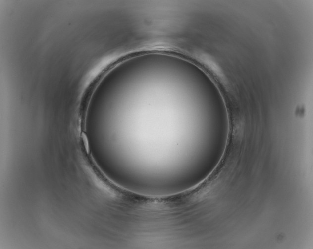 X0000091971414200709201355