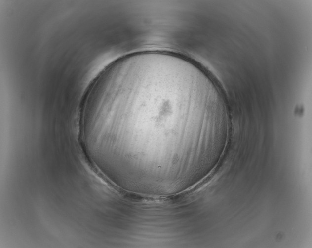 X0000091971415200709201355