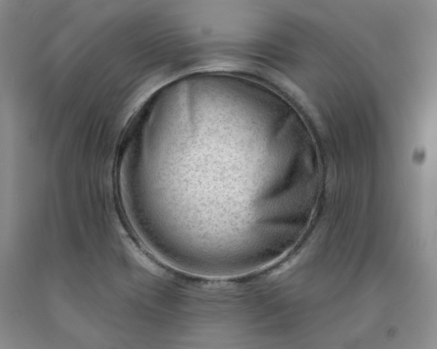 X0000091971417200709201355