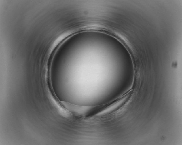 X0000091971418200709201355