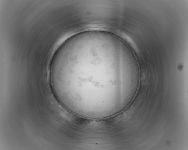 X0000091971419200709201355