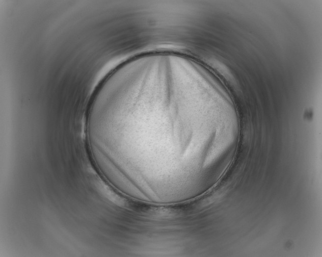 X0000091971420200709201356