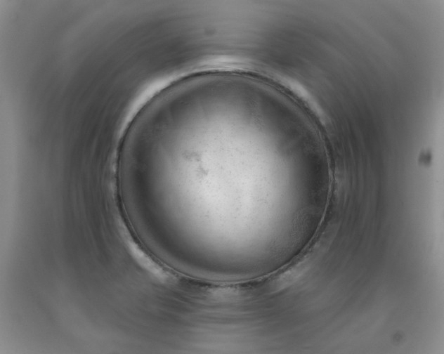 X0000091971421200709201356