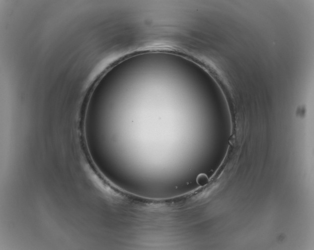 X0000091971422200709201356