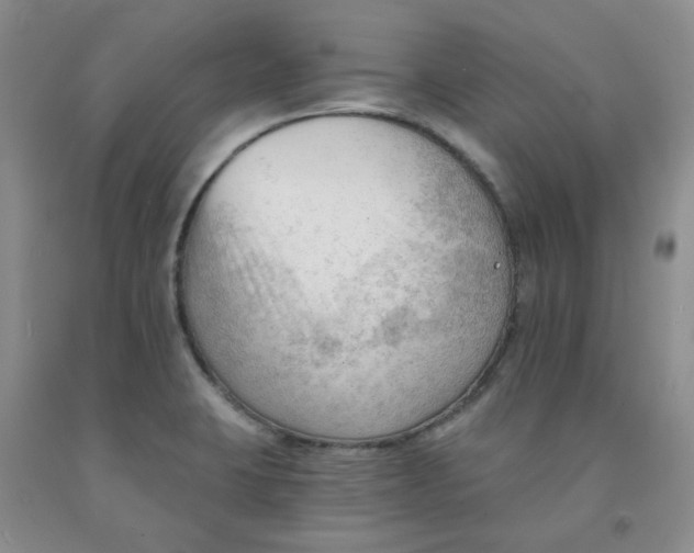 X0000091971423200709201356