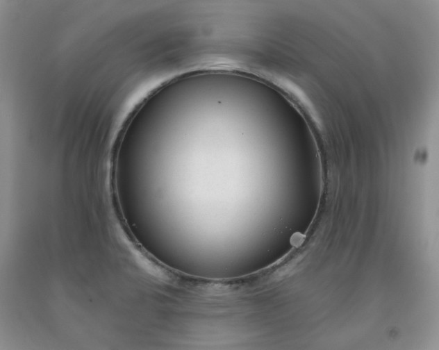 X0000091971424200709201356