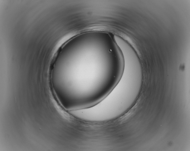 X0000091971426200709201356