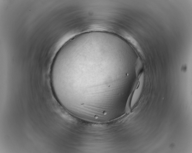X0000091971427200709201356