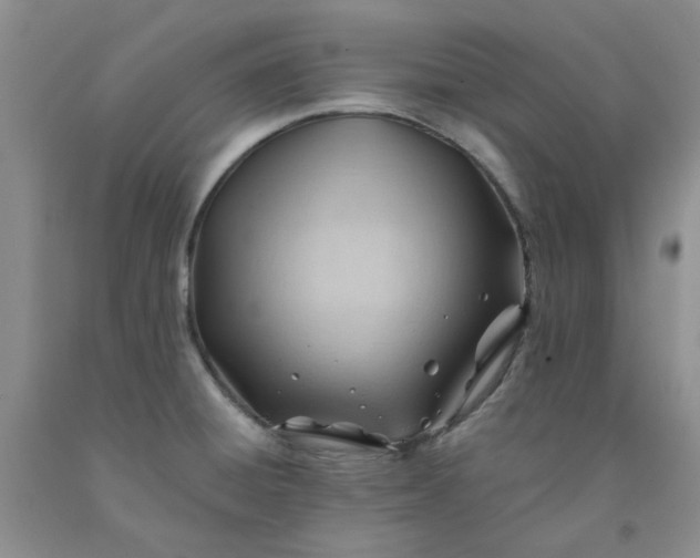 X0000091971428200709201356
