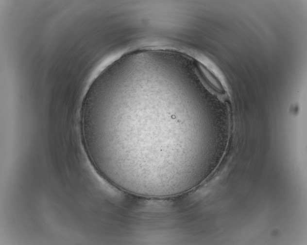 X0000091971429200709201356