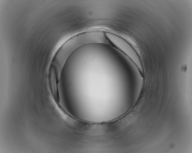 X0000091971430200709201356