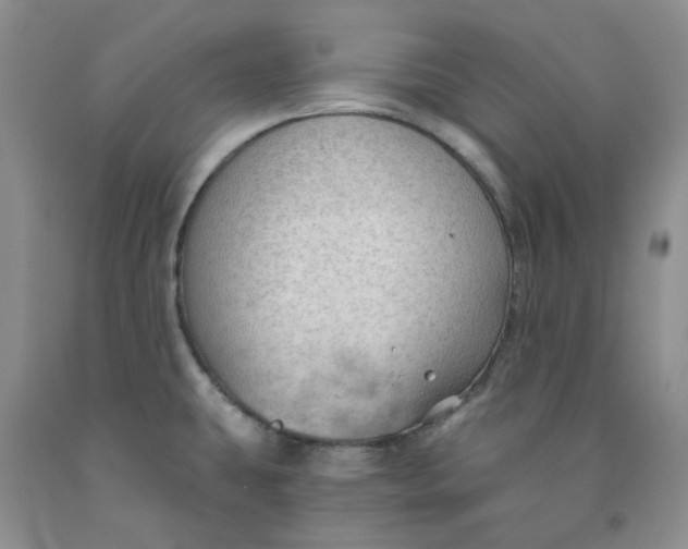X0000091971431200709201356