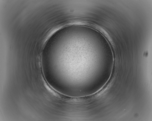 X0000091971433200709201356