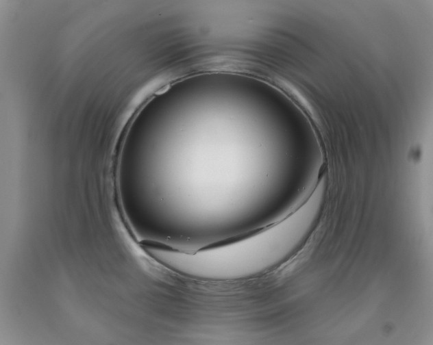 X0000091971434200709201356